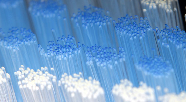 nylon bristle toothbrushes
